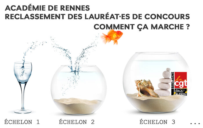 Un poisson rouge saute d'un verre à un bocal avec du sable, à un bocal avec sable, galets et coquillage.
